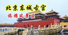 外国女人阴道图片中国北京-东城古宫旅游风景区